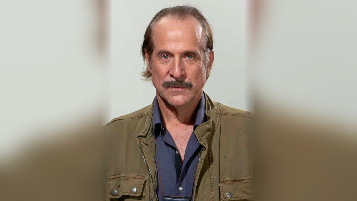 10 Best Peter Stormare Movies and TV Shows, Ranked